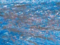 Celis 50x50 1
