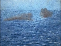 Noja