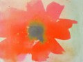 26-Espiral_MBejarano_DARK-ORANGE_resinasypigmentos-dibond-impreso_50x65cm_2021