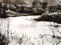 Joaquin Cano_Marismas-V_Tinta-china-papel-Canson_108x60_2021_2350