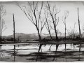 Joaquin Cano NADA-QUE-DECIR_35x110_2021_1398
