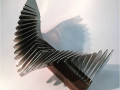 Raquel Fernández Santos Sinfonia-II-2