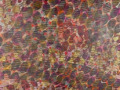 Isabela Lleó Sincronicidad 2 Encáustica sobre tabla 120 x 120 cm