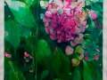 PacoDiaz Hortensia_Acuarela_2022
