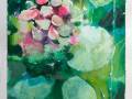 PacoDiaz_Hortensia_Acuarela_2022_40X30