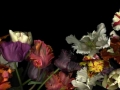 165x75-7