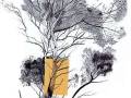 TatianaBlanque_Arbre_Rotulador-y-boli-big_papel_11950x80cm_1700Evitrina-150