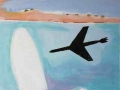 6 avión y caracola
